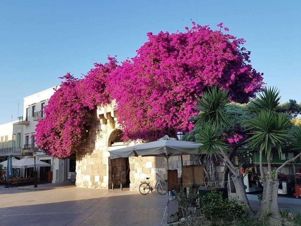 Paradise Hotel Kos Exteriör bild